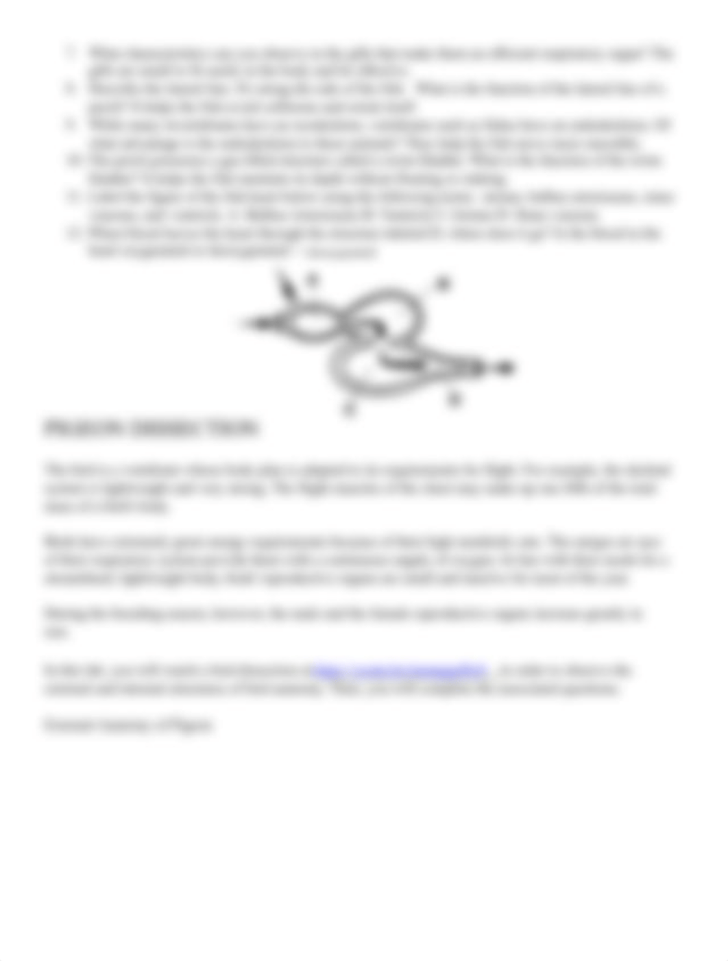 Vertebrates Lab_Gibson.A.docx_d9igmlza86g_page3