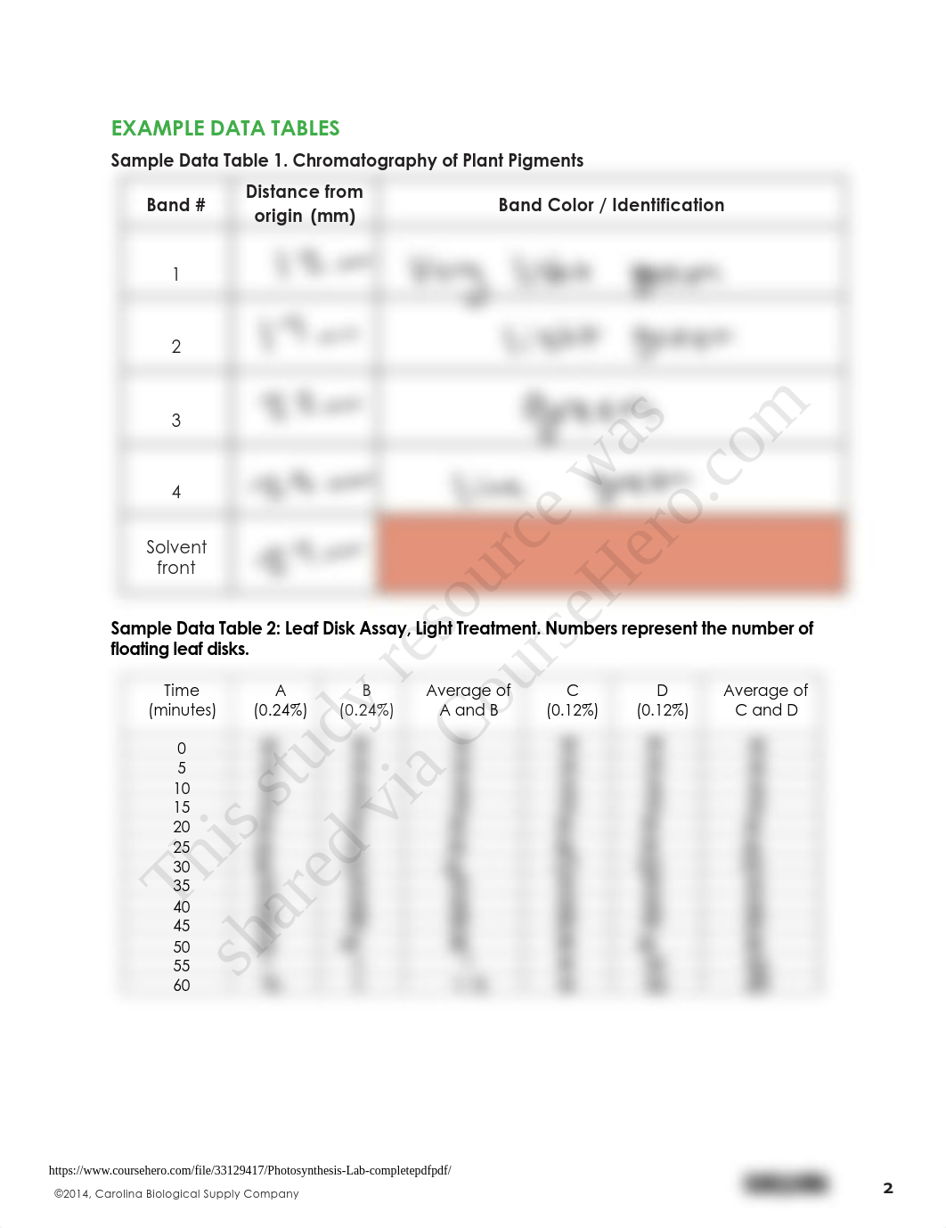 Exploring Photosynthesis and Plant Pigments5.pdf_d9j395ym9pb_page3