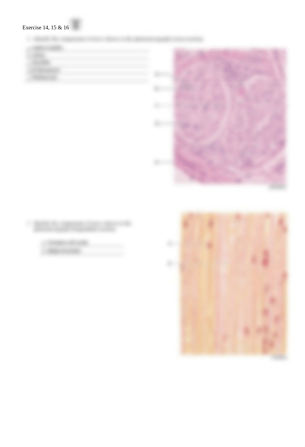 8. Unit 8 laboratory exercise 14, 15, & 16 SIMS.pdf_d9j3wuj5ps6_page2