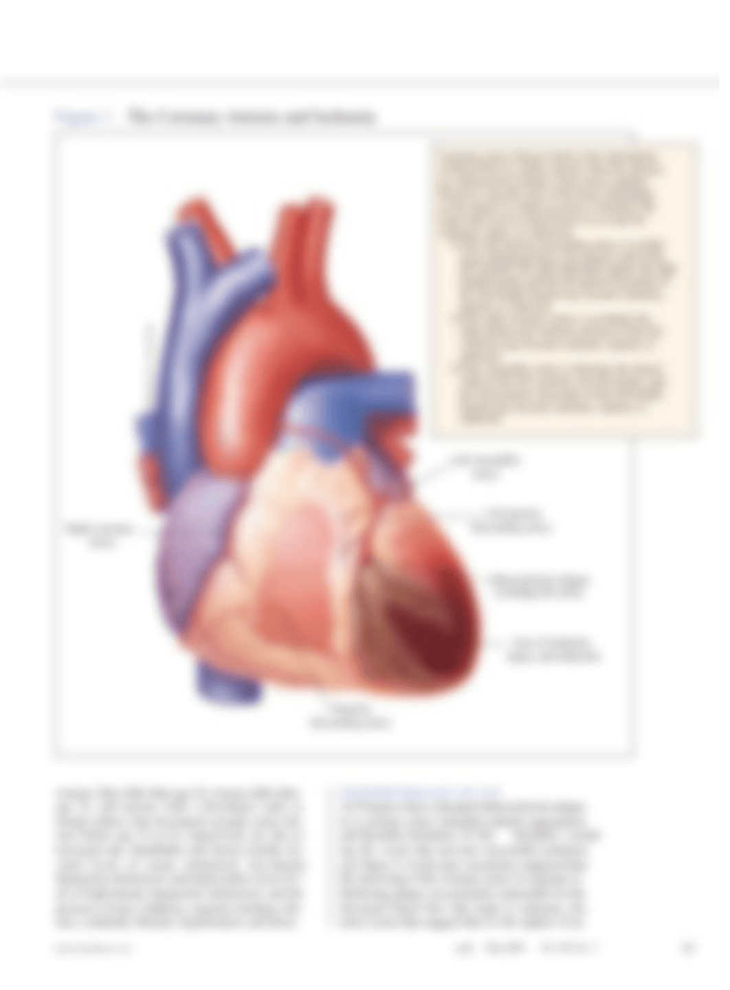 Acute_Coronary_Syndrome.28_1_.pdf_d9j4ole6fil_page2