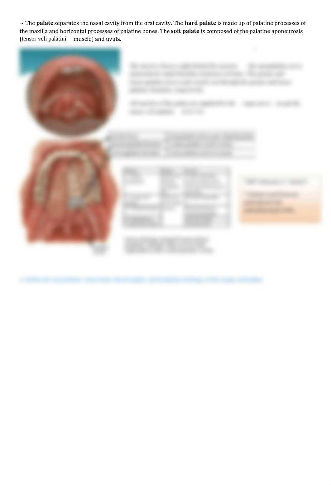 Oral Cavity.pdf_d9j6y1qekyb_page2