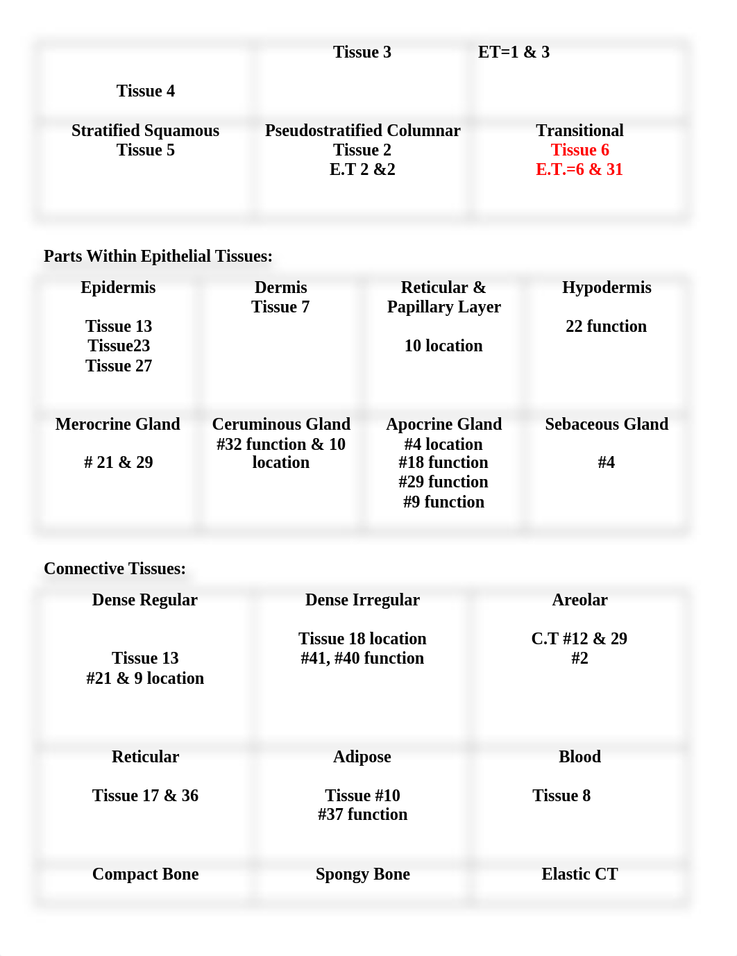 amarias Histology Lab 2b-1.docx_d9jc0w0kovt_page5