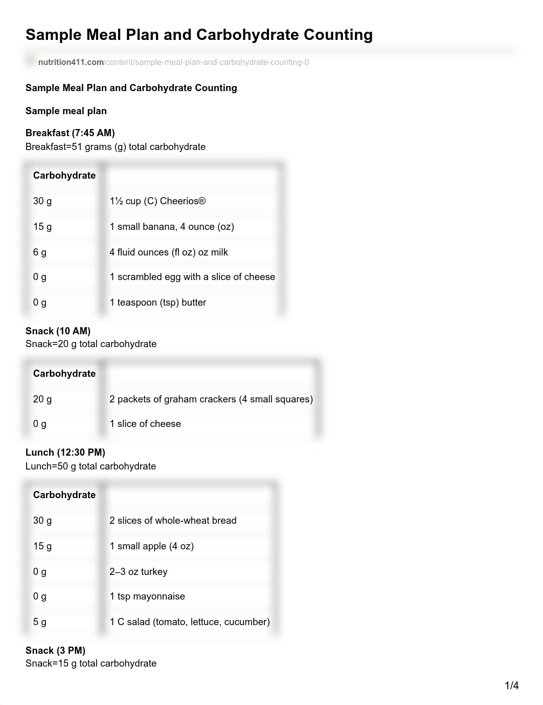 nutrition411.com-Sample Meal Plan and Carbohydrate Counting (1).pdf_d9jka5kvf6w_page1