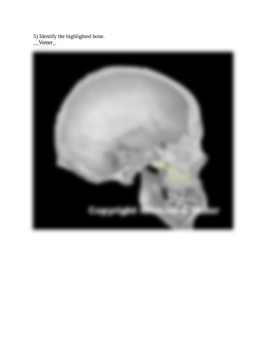 Skull ID Worksheet Done.docx_d9jpfgtau89_page5