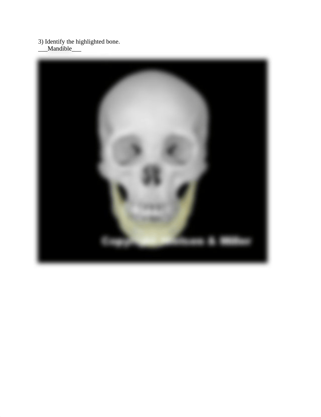 Skull ID Worksheet Done.docx_d9jpfgtau89_page3