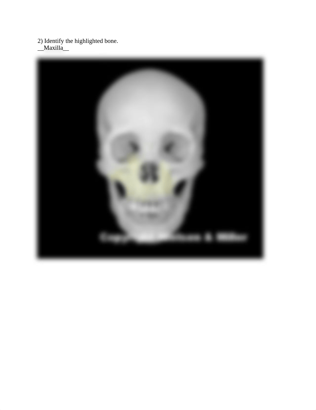 Skull ID Worksheet Done.docx_d9jpfgtau89_page2