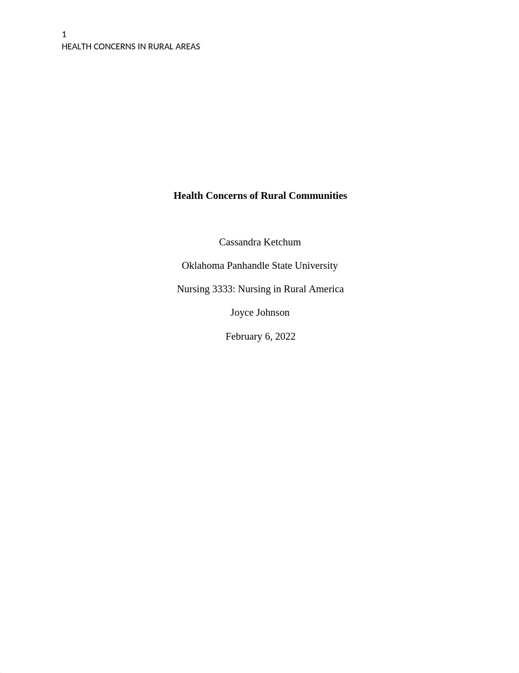 Rural Nursing Paper_Ketchum.docx_d9jx5cocy4y_page1