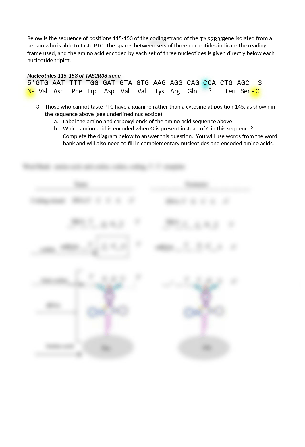 UPDATED_KEY_Tying it all together_Bitter Taste (1).docx_d9jyquyp5nd_page2