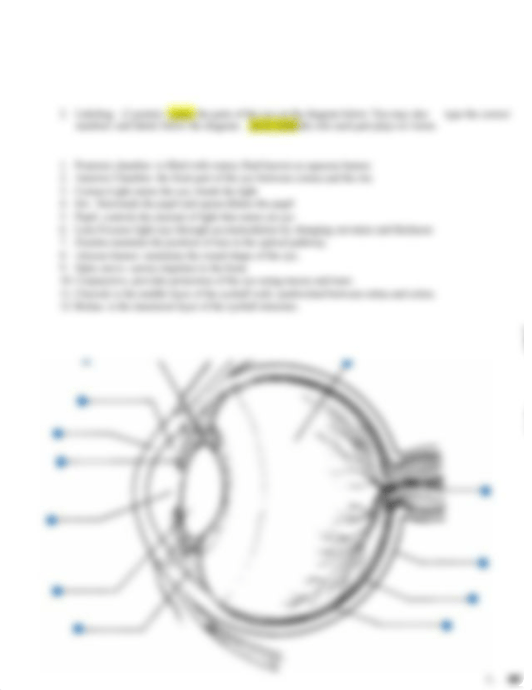 Worksheet 4 turner.docx_d9k0fkuj86n_page2