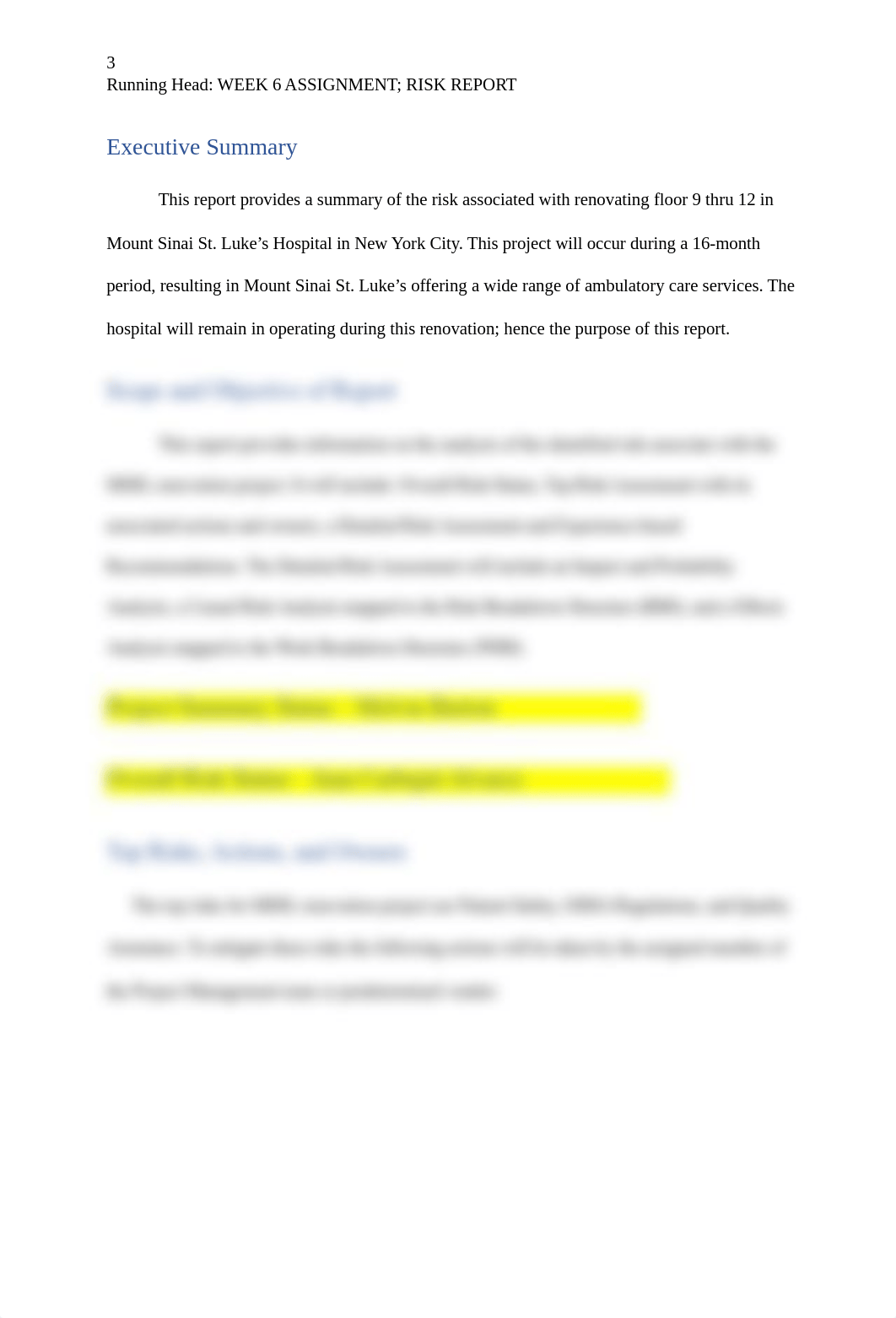 PROJ420_Week6_Group2_Risk_Report (1).docx_d9k97n6x2uq_page3