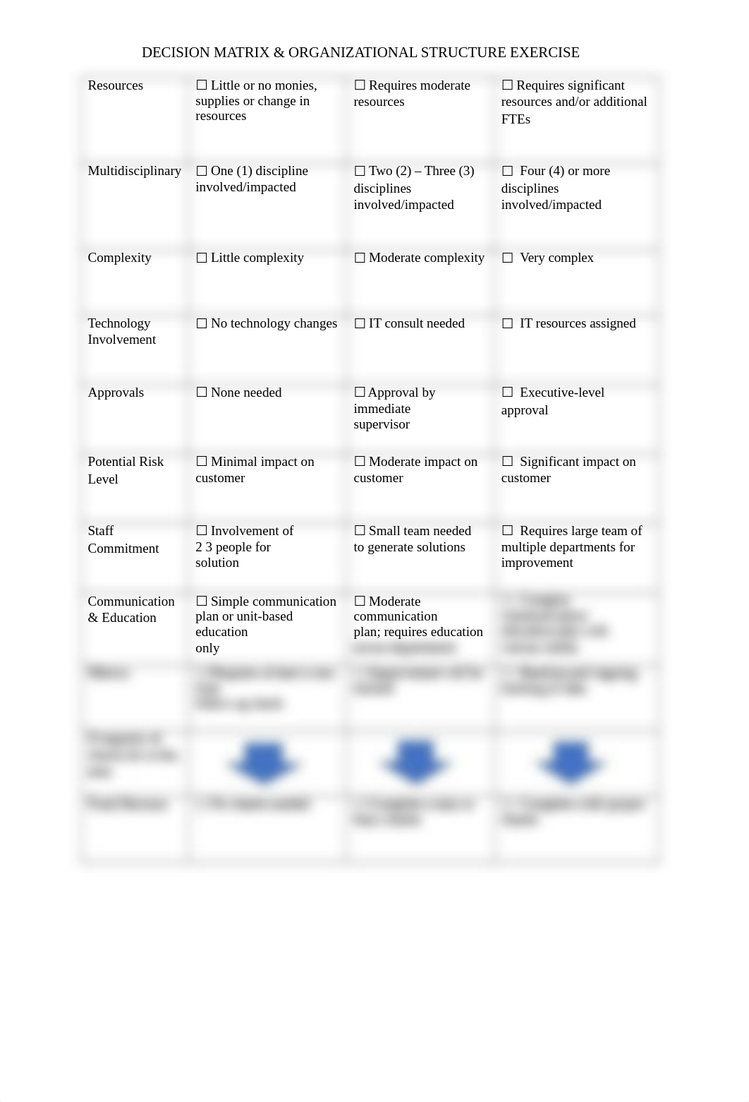 DecisionMatrix-OrgStructure.docx_d9l1jdo5xx9_page1