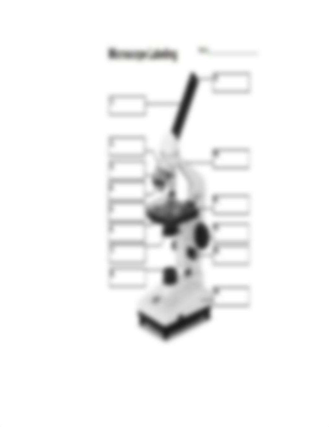 Lab 2 Virtual Microscope Review Sheet (2).docx_d9l8i9umkm2_page4