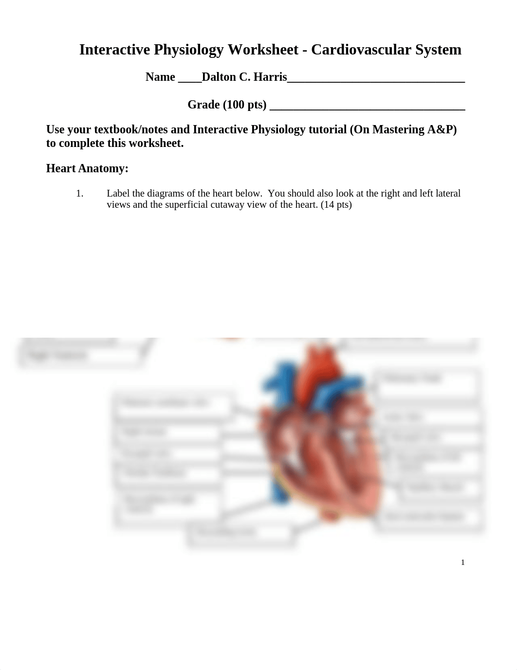 I.P. Cardiovascular - Dalton Harris.docx_d9laltxhgaz_page1