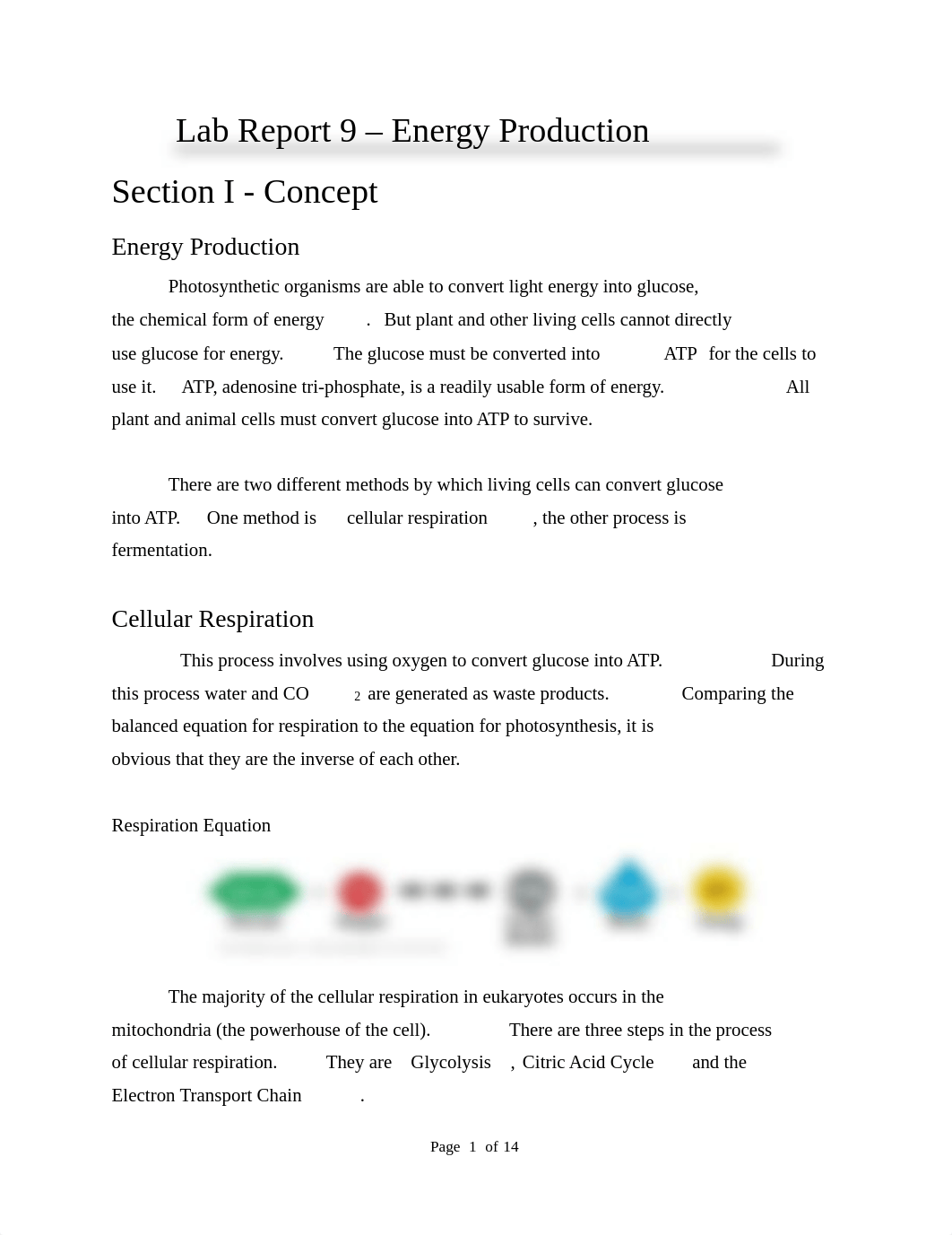 Lab Report 9 - Energy Production.pdf2_d9lbv42l6ml_page1