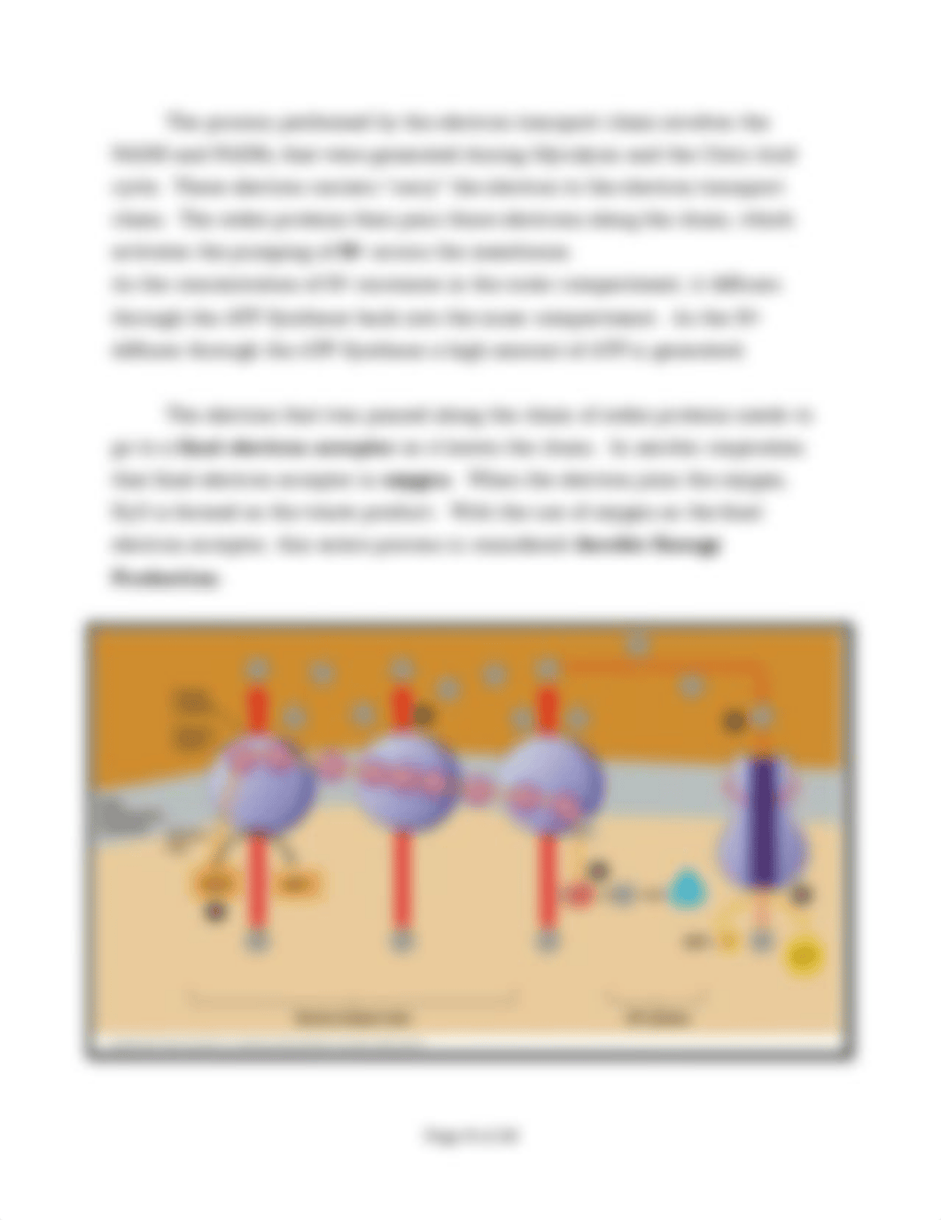 Lab Report 9 - Energy Production.pdf2_d9lbv42l6ml_page4