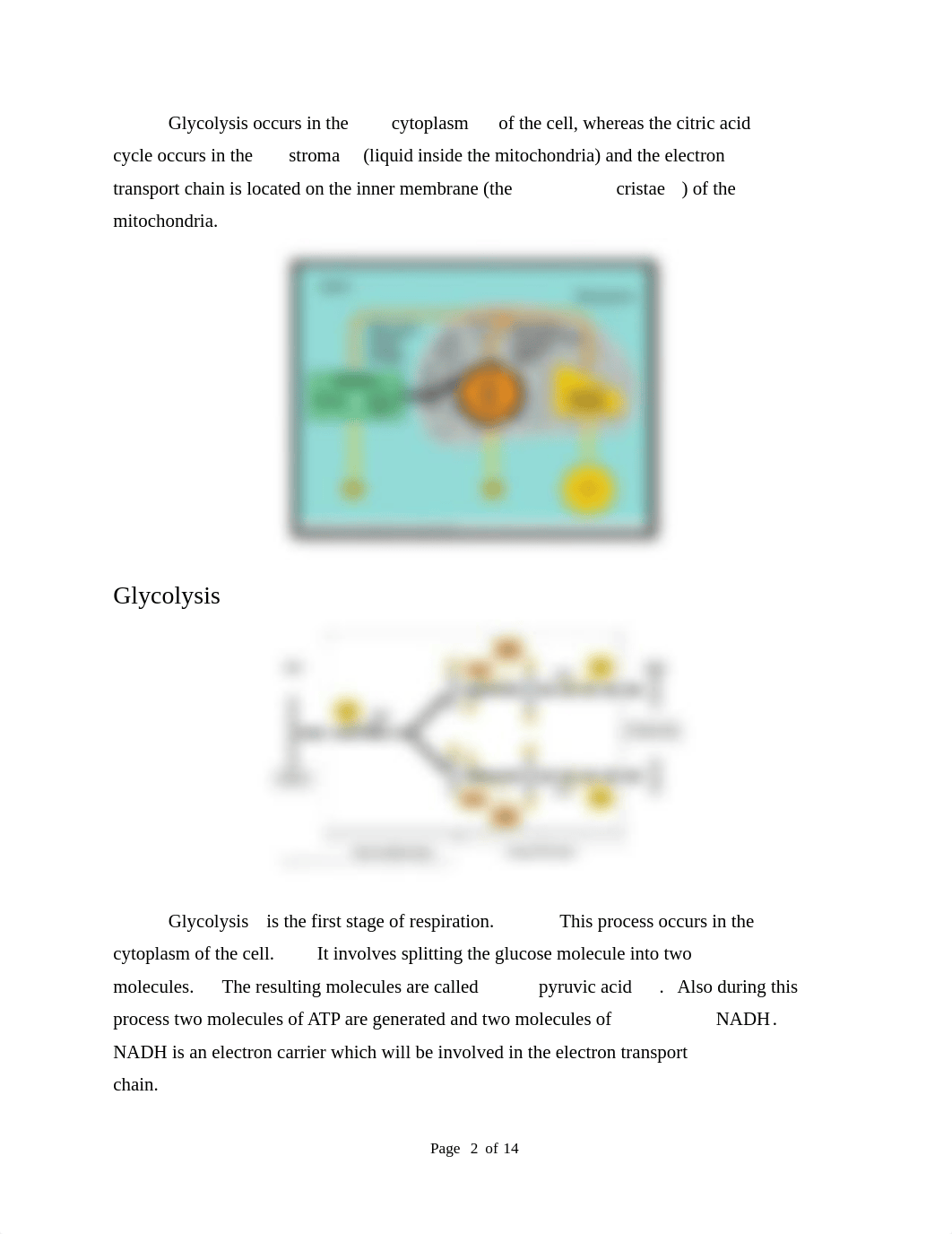 Lab Report 9 - Energy Production.pdf2_d9lbv42l6ml_page2