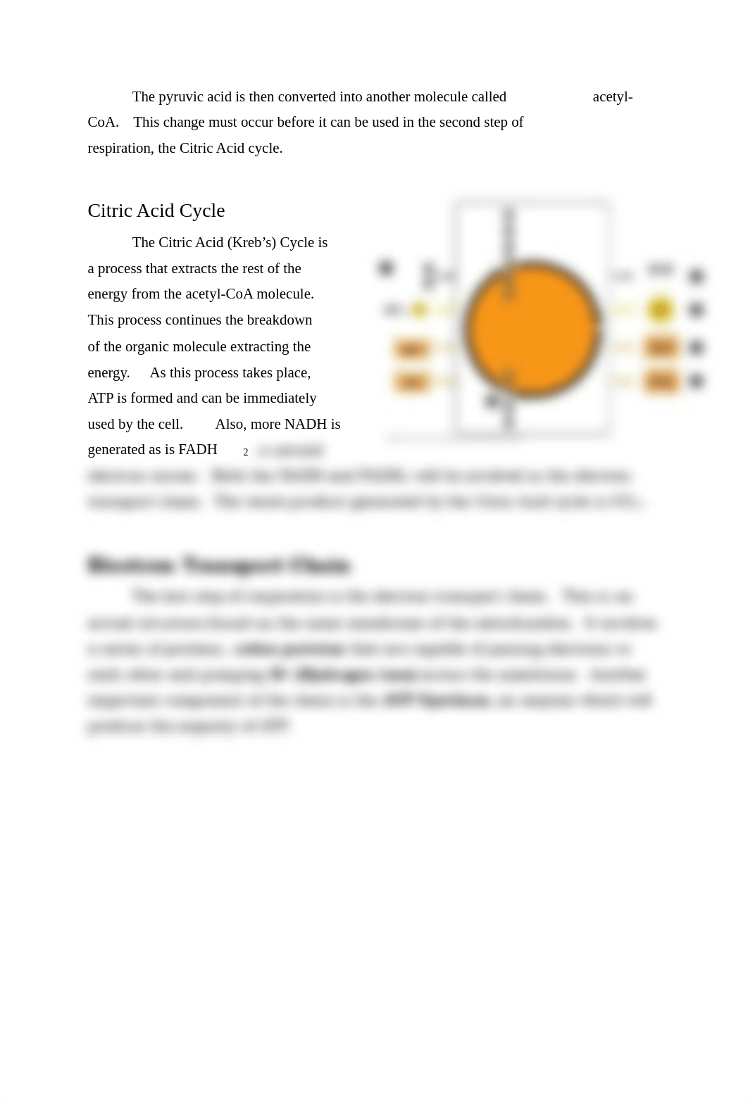 Lab Report 9 - Energy Production.pdf2_d9lbv42l6ml_page3