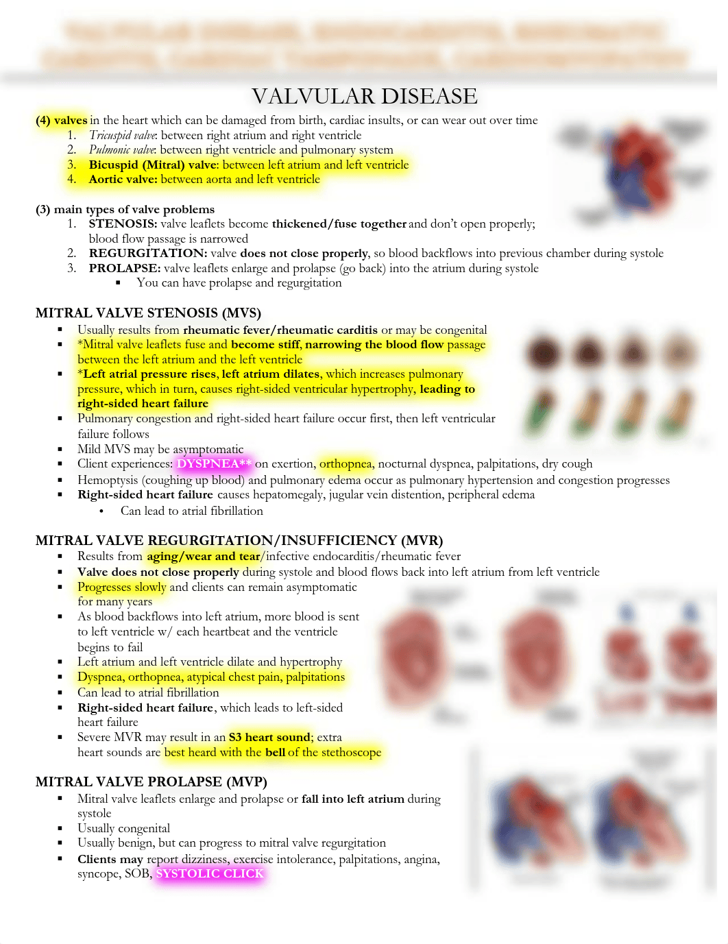 VALVULAR DISEASE.pdf_d9lc94mhi6k_page1