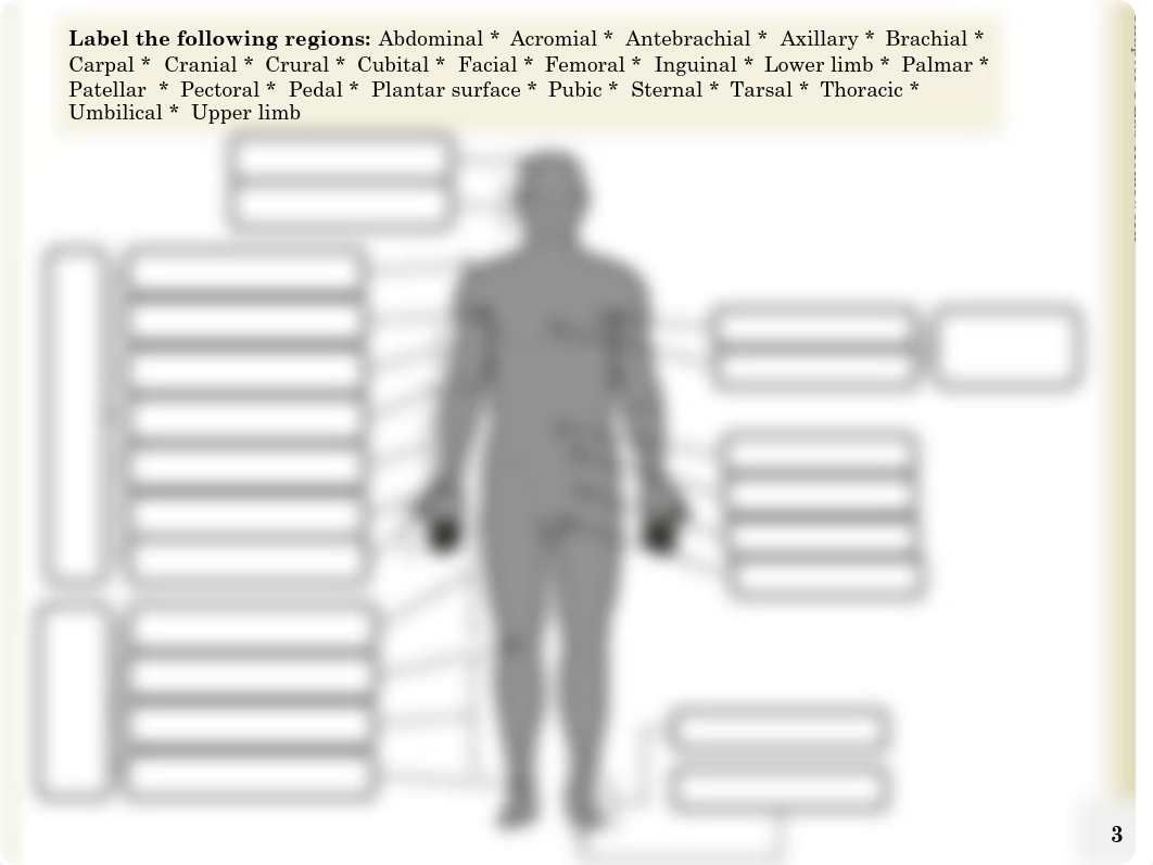 Anatomy and Physiology Lab Homework.pdf_d9lfflgk7zt_page5