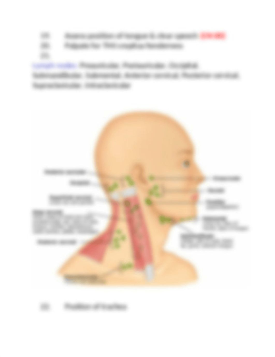 Head to Toe Assessment.docx_d9lflec1rs1_page2