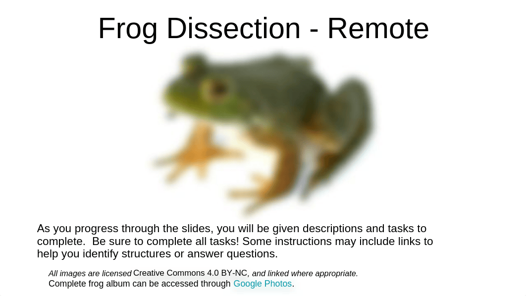 Frog Dissection SCIENCE WORK.pptx_d9ll0sizcw6_page1