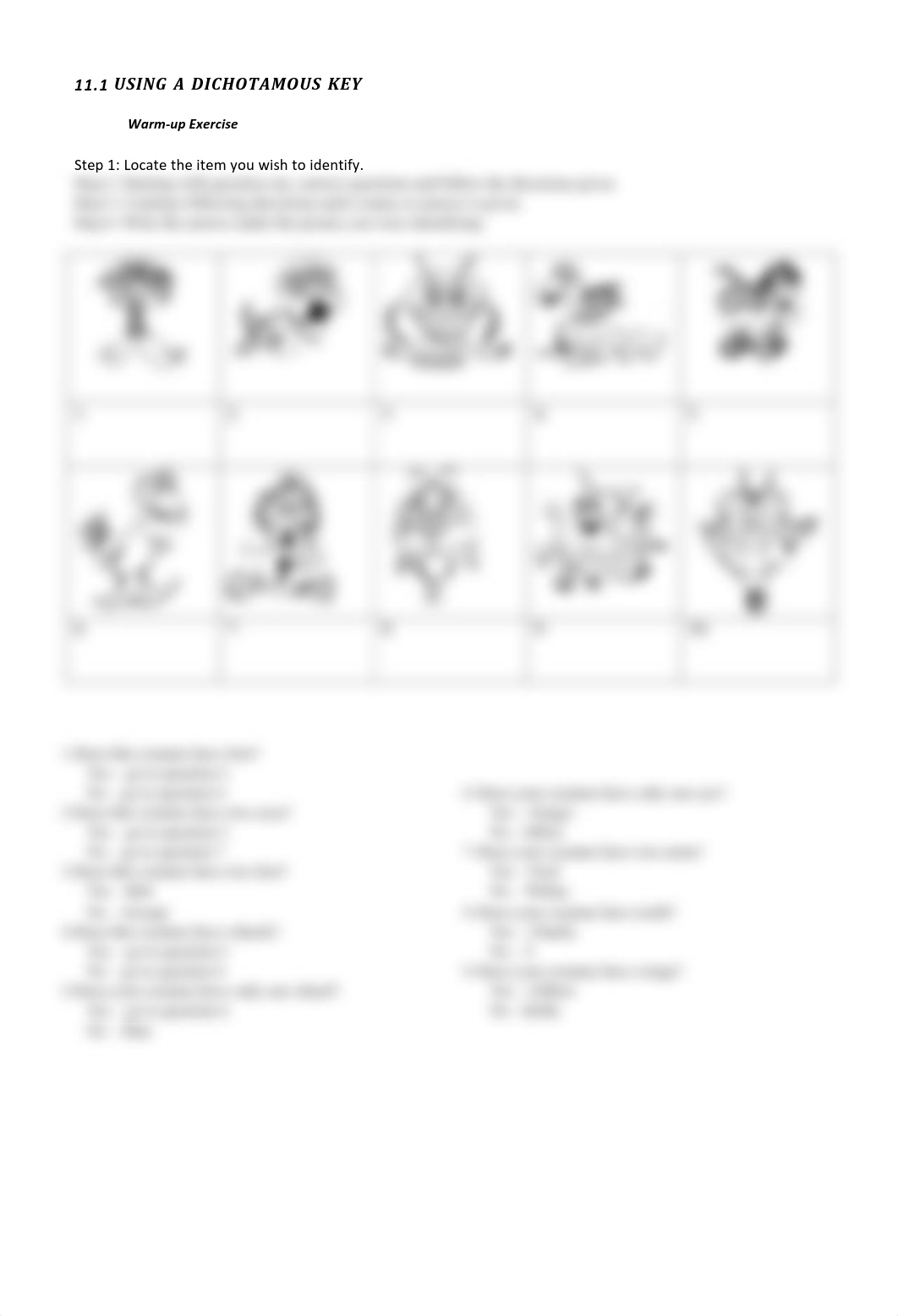 Lab 12 Keys Fossils and Classification.pdf_d9ln0rmkh8q_page2