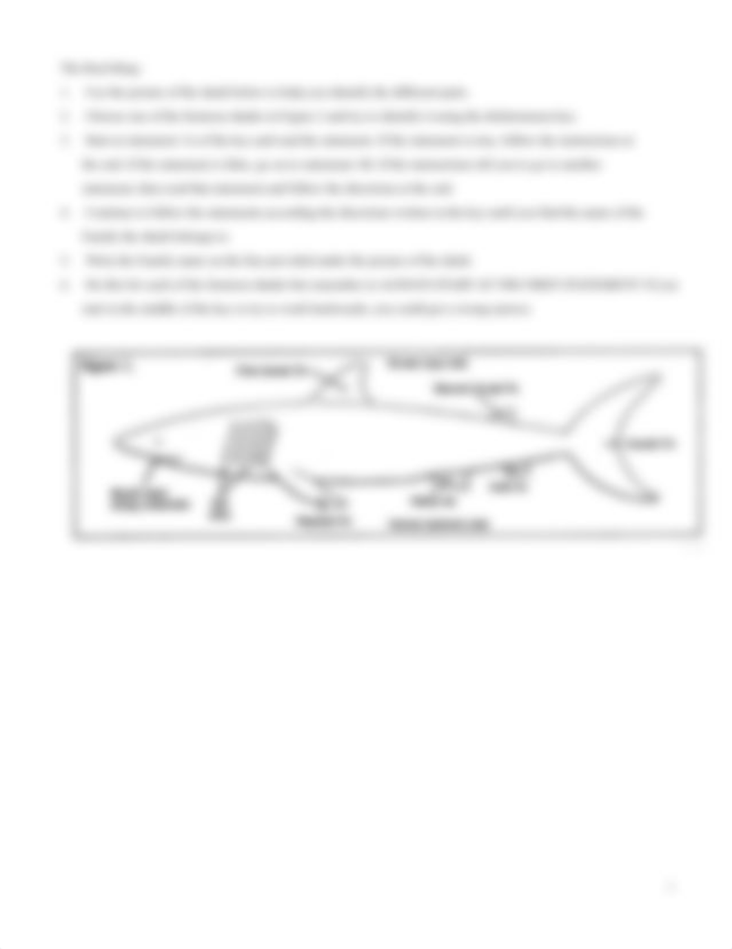 Lab 12 Keys Fossils and Classification.pdf_d9ln0rmkh8q_page3