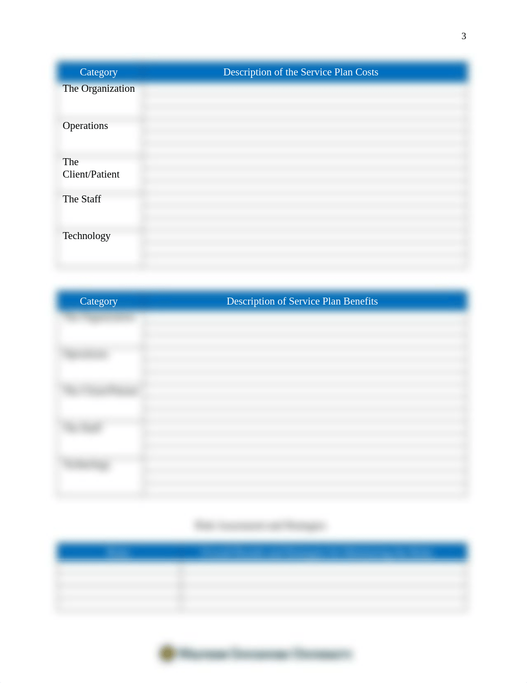 Service Plan Brief (23) (1).docx_d9lngv63zvk_page3