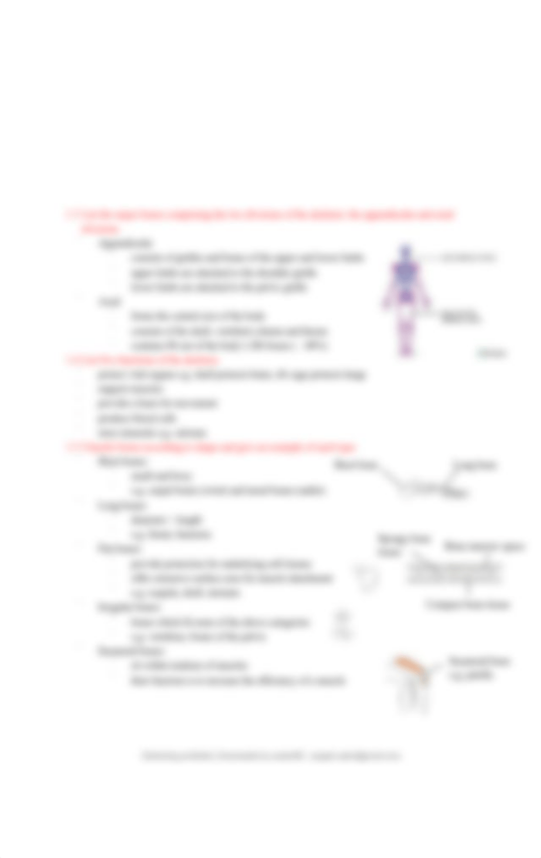 bios1168-functional-musculoskeletal-anatomy-a-module-1-notes.pdf_d9lp0ykdzug_page3