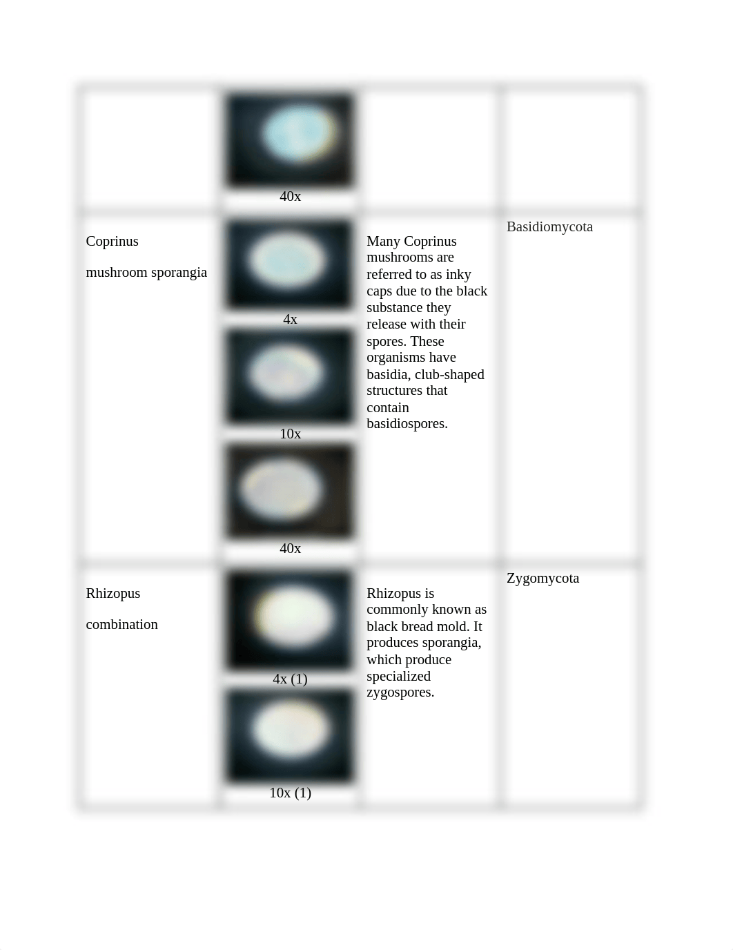 Lab11.docx_d9lqgglpmpz_page2