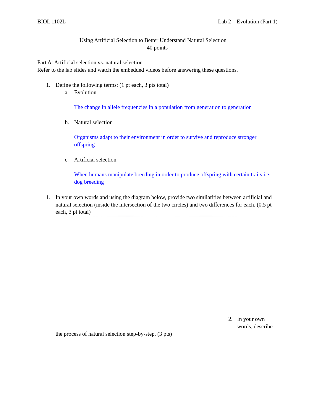 Lab2.docx_d9lvst5foet_page1