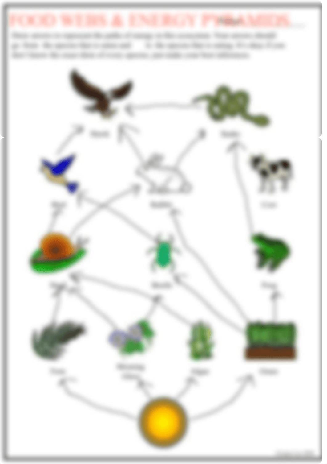 Kami Export - Shon'teria Stephens - Food Webs and Energy Pyramids - Guided ReadingSTUDENTVERSION.pdf_d9m0ixqryjz_page2