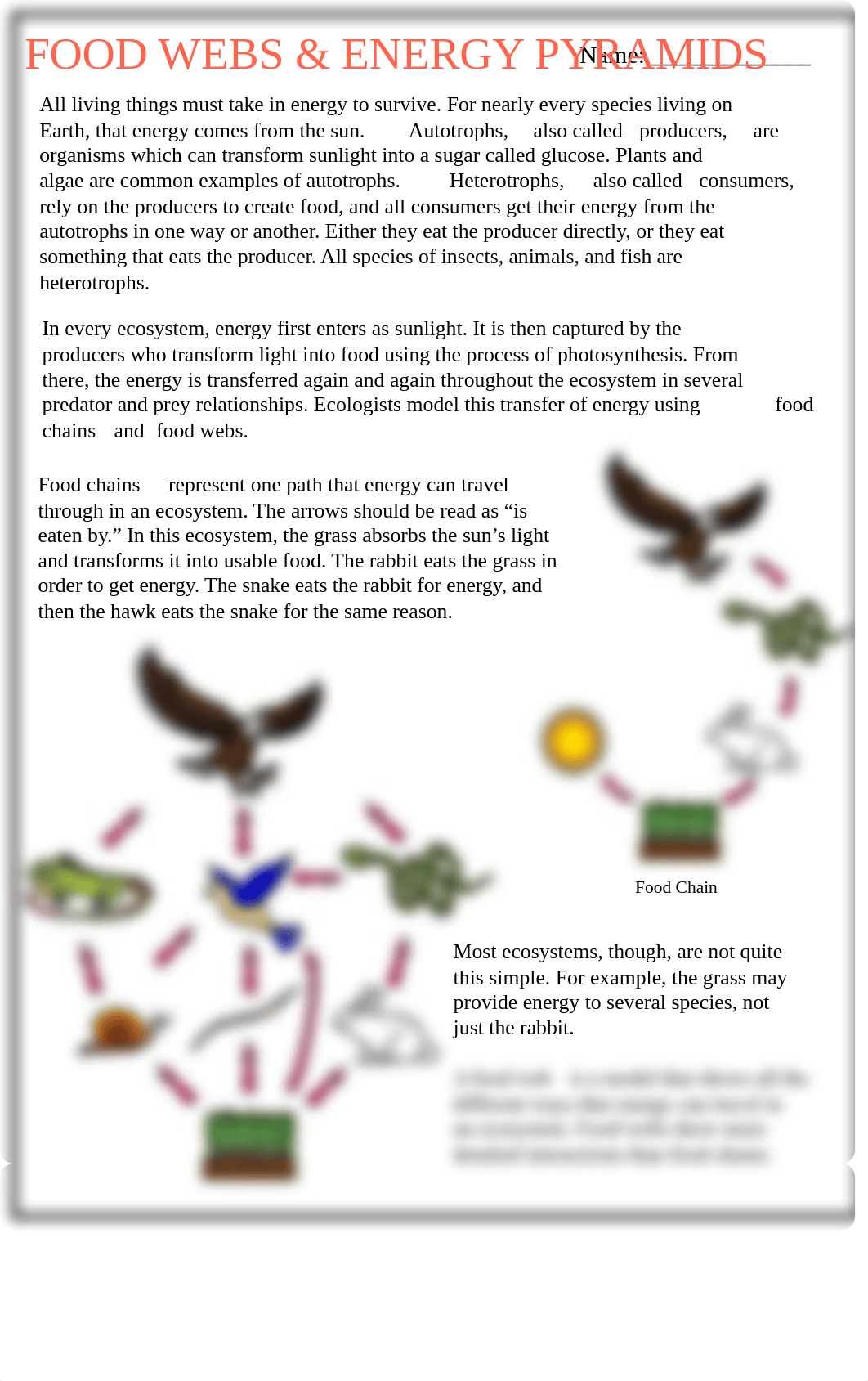 Kami Export - Shon'teria Stephens - Food Webs and Energy Pyramids - Guided ReadingSTUDENTVERSION.pdf_d9m0ixqryjz_page1