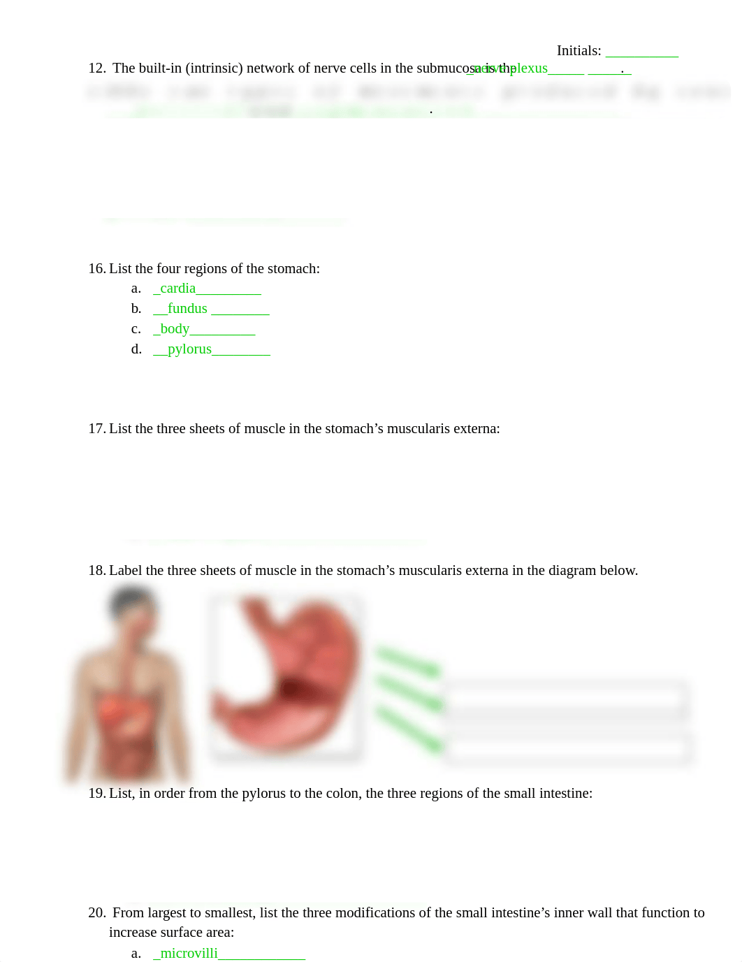 BSC 1086 - Digestive System Worksheet.docx_d9m5249juo8_page3