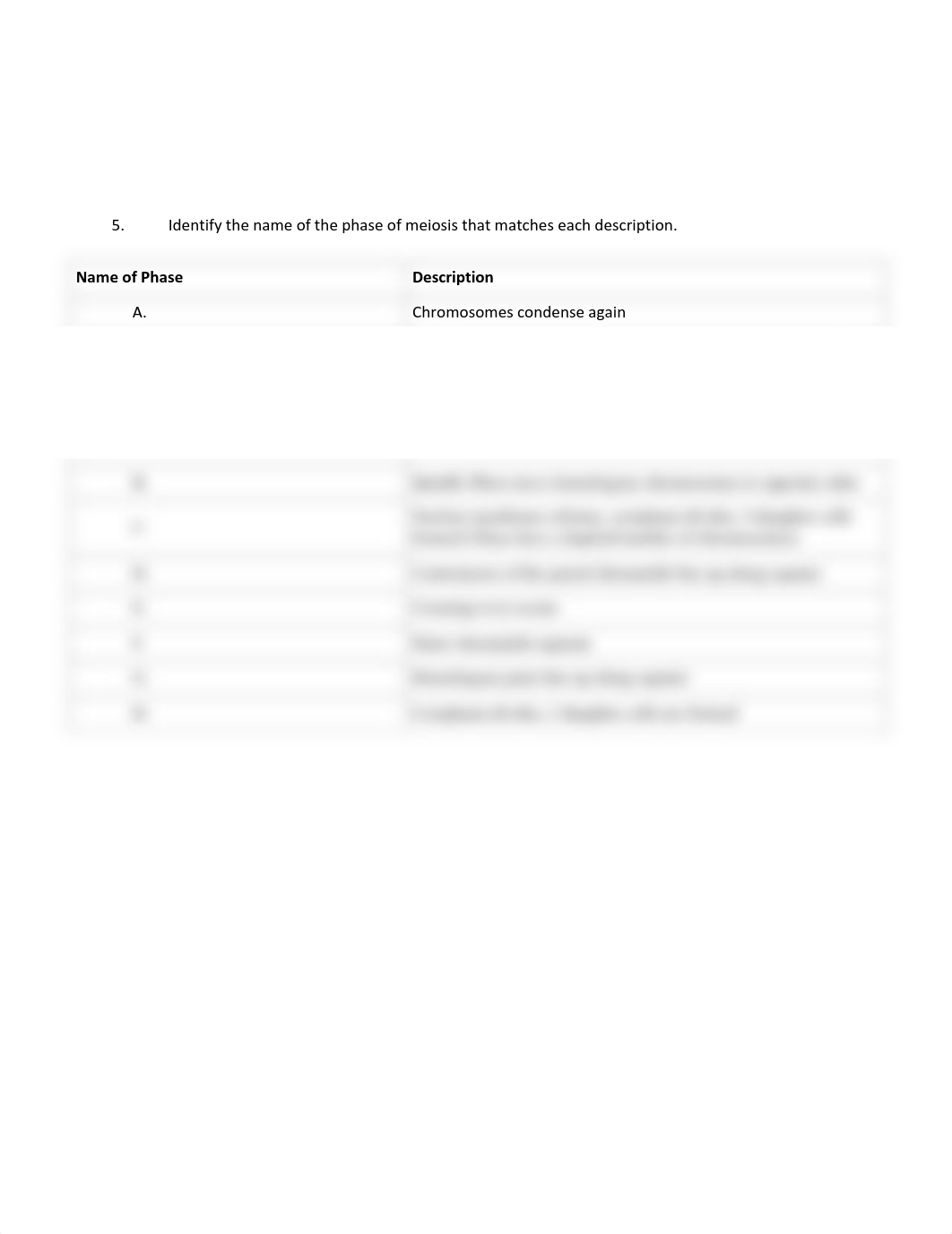 Worksheet 6_Mitosis(1)_d9m5d9u5ryx_page2