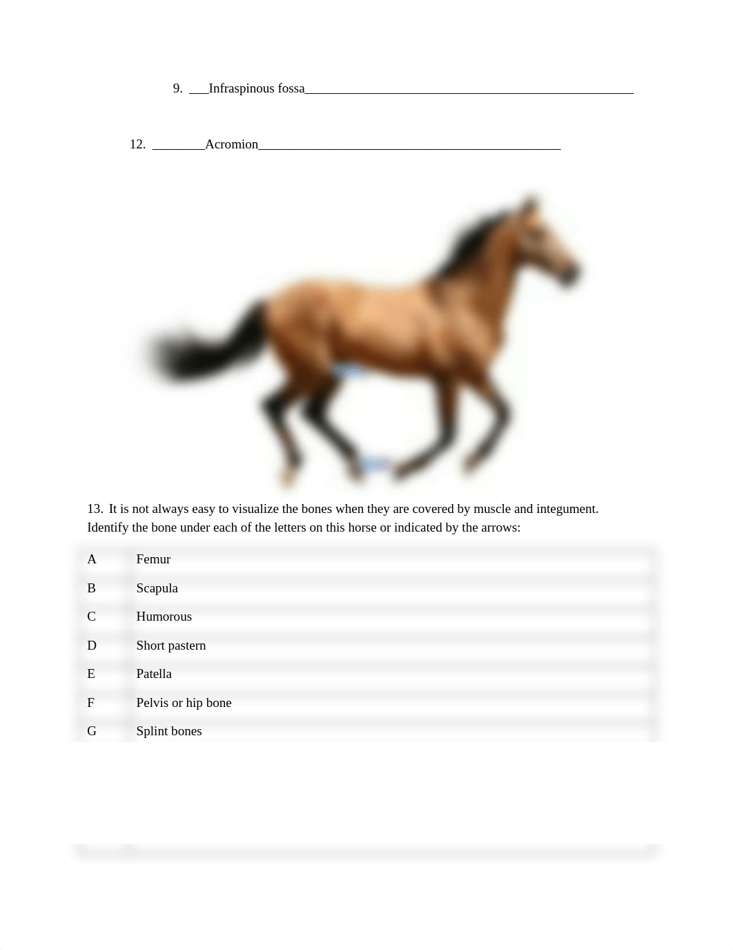 ASSIGNMENT 3.2 THE SKELETAL SYSTEM Finished.docx_d9mbi9d9np9_page2