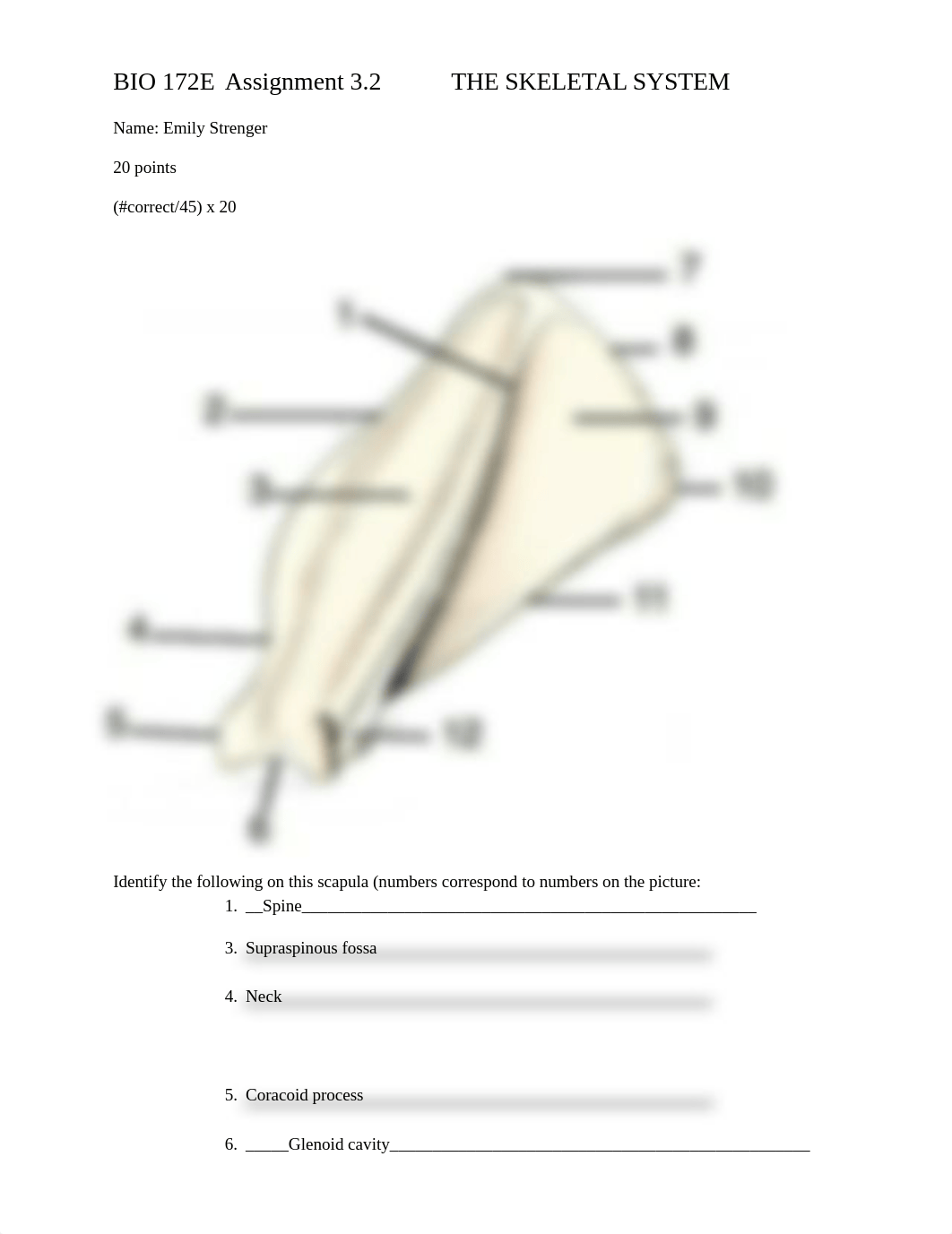 ASSIGNMENT 3.2 THE SKELETAL SYSTEM Finished.docx_d9mbi9d9np9_page1