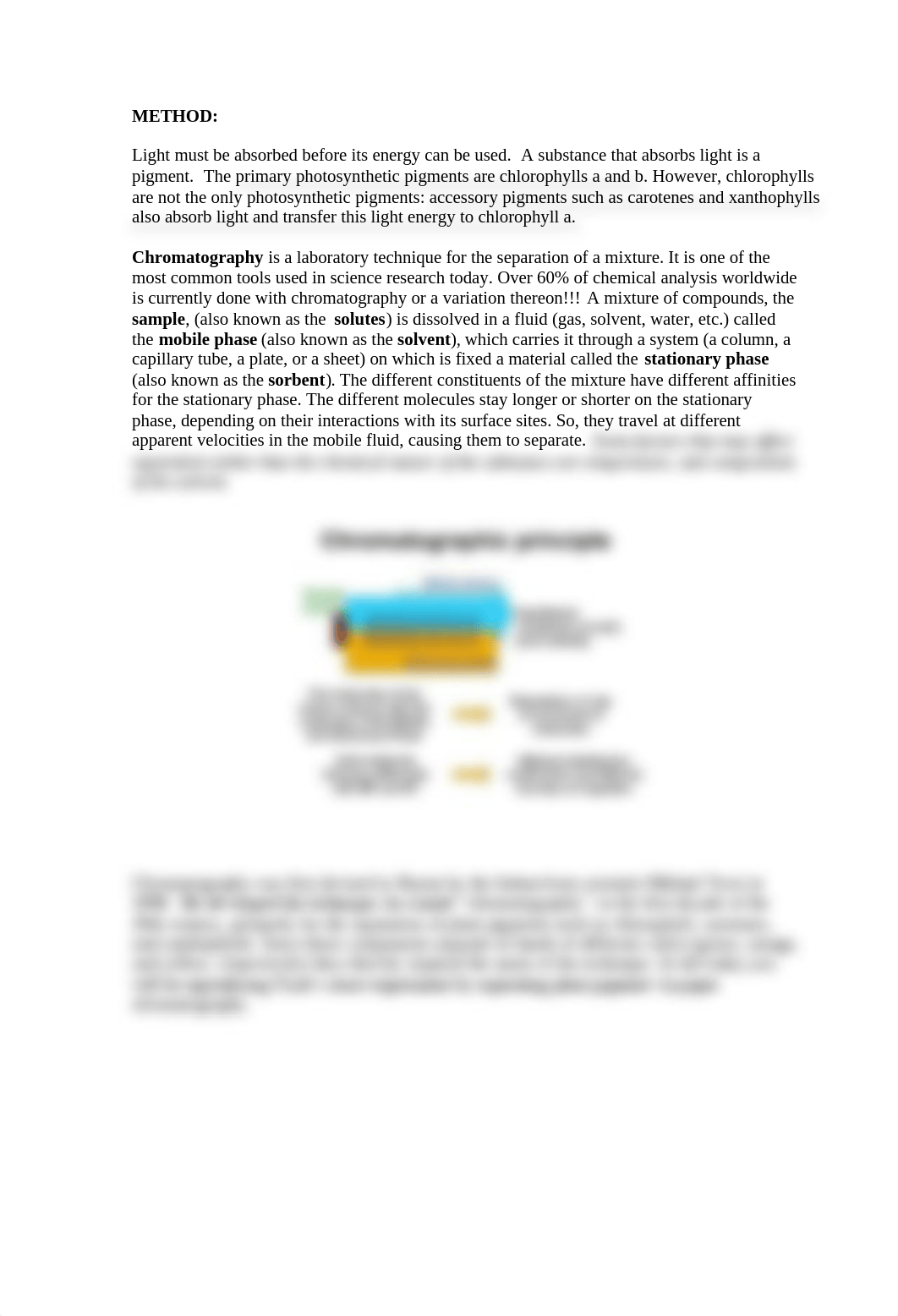 Photosynthesis+Lab copy.pdf_d9me5az5d3u_page2