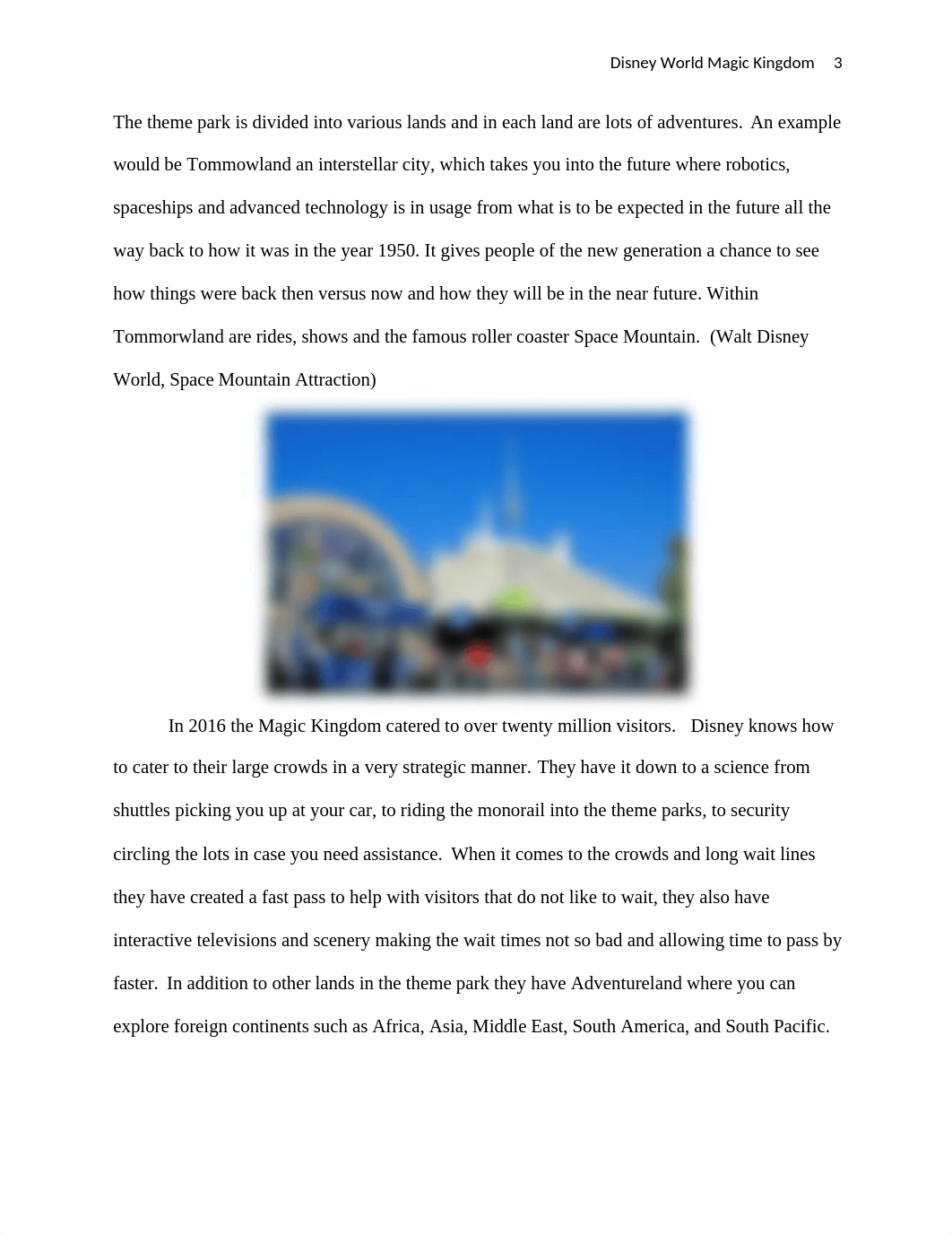 Advertising Plan Magic Kingdom.docx_d9mnbwnqtkm_page3