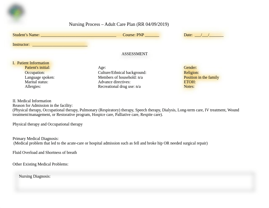 Adult Care Plan - TEMPLATE copy 2.pdf_d9mr899xd23_page1