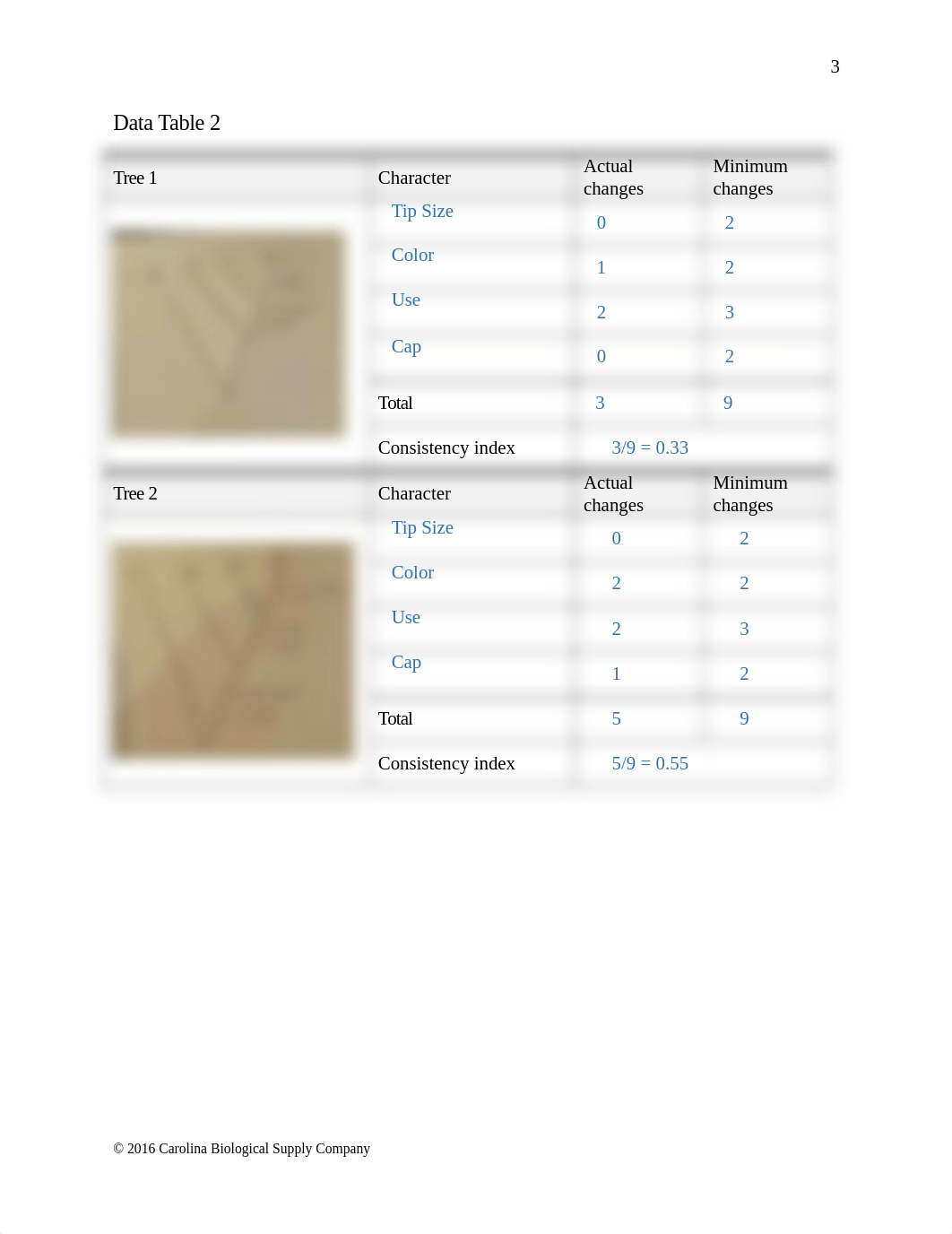 580227 Cladistics Dry Lab Q.docx_d9mscy4fvb3_page4