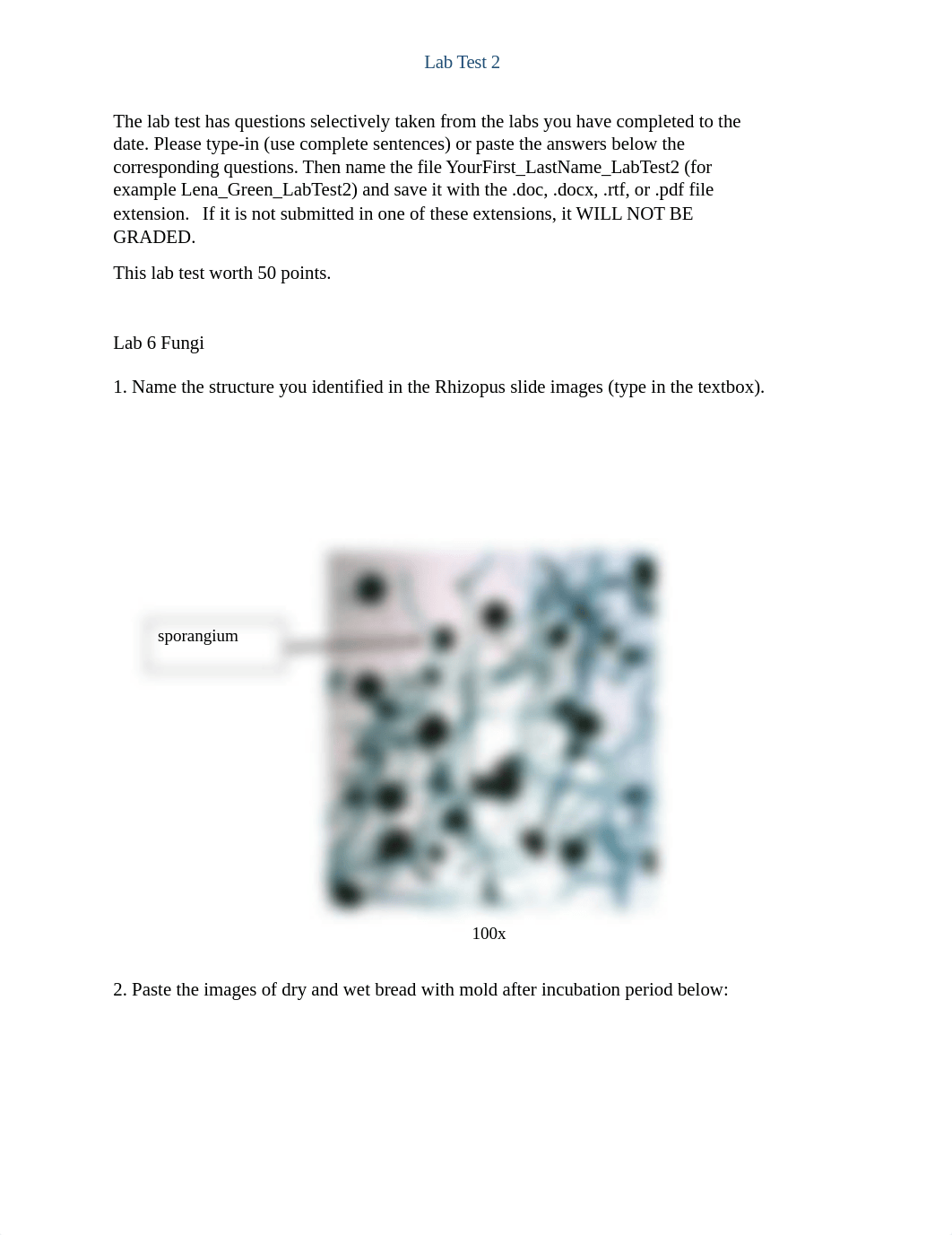 Hannah_Banducci_LabTest2.docx_d9mungwls5b_page1