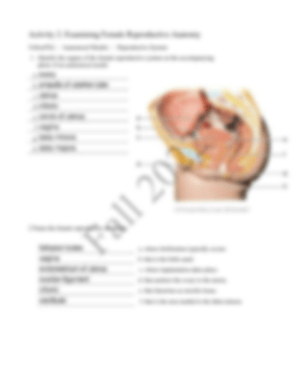 15. Unit 15 laboratory exercise 31 EDIT real.pdf_d9n1nzdlfvb_page2