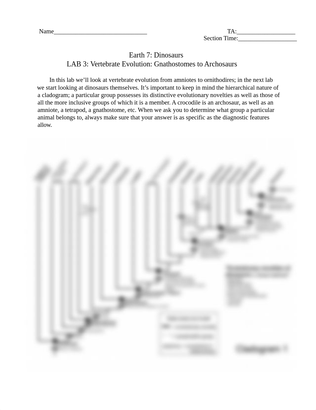 Lab 3_ Vertebrates-2.pdf_d9n7opoxjav_page1