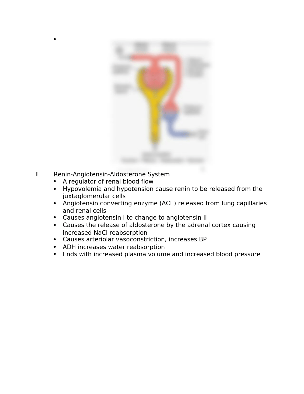 Patho Renal Lecture_d9nb3sd12l7_page4