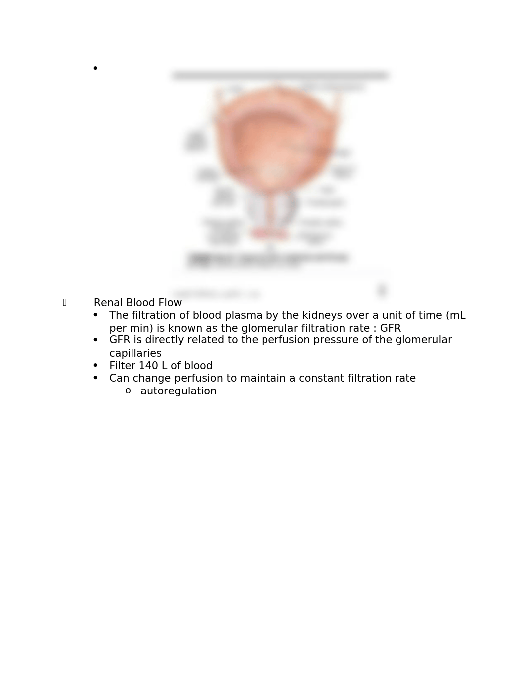 Patho Renal Lecture_d9nb3sd12l7_page3