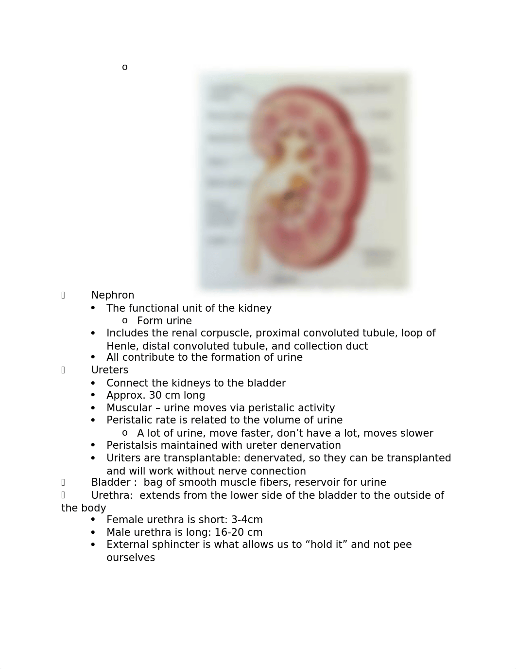 Patho Renal Lecture_d9nb3sd12l7_page2