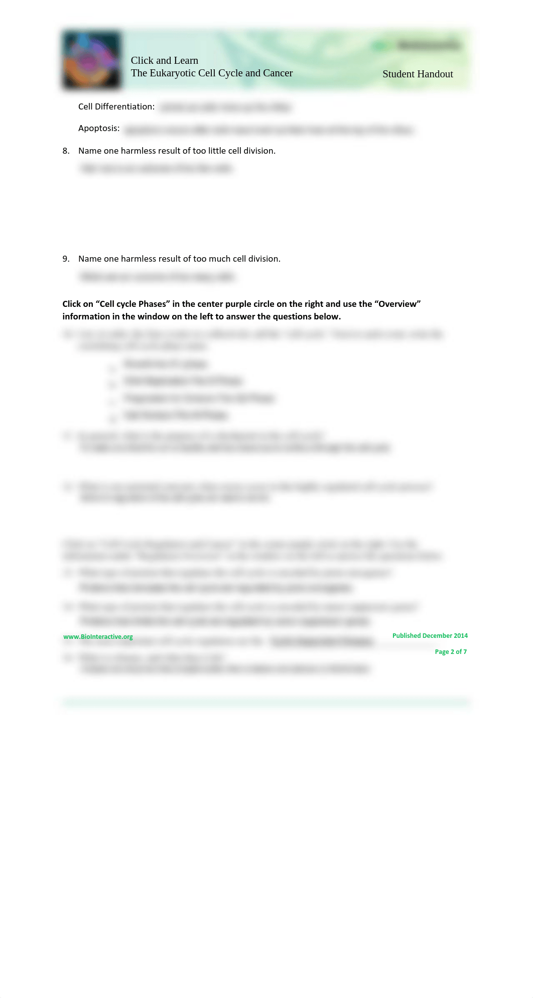 Cellcycle-Worksheet.pdf_d9ncox00w2z_page2