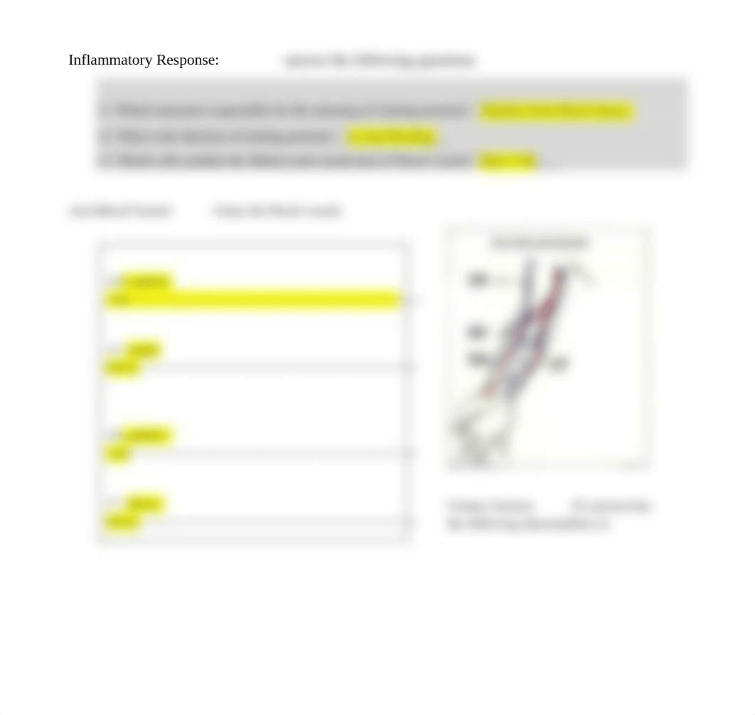 Bio2341-lab-firstexam-spring2021-16-revised.docx_d9nk01ekjkk_page4