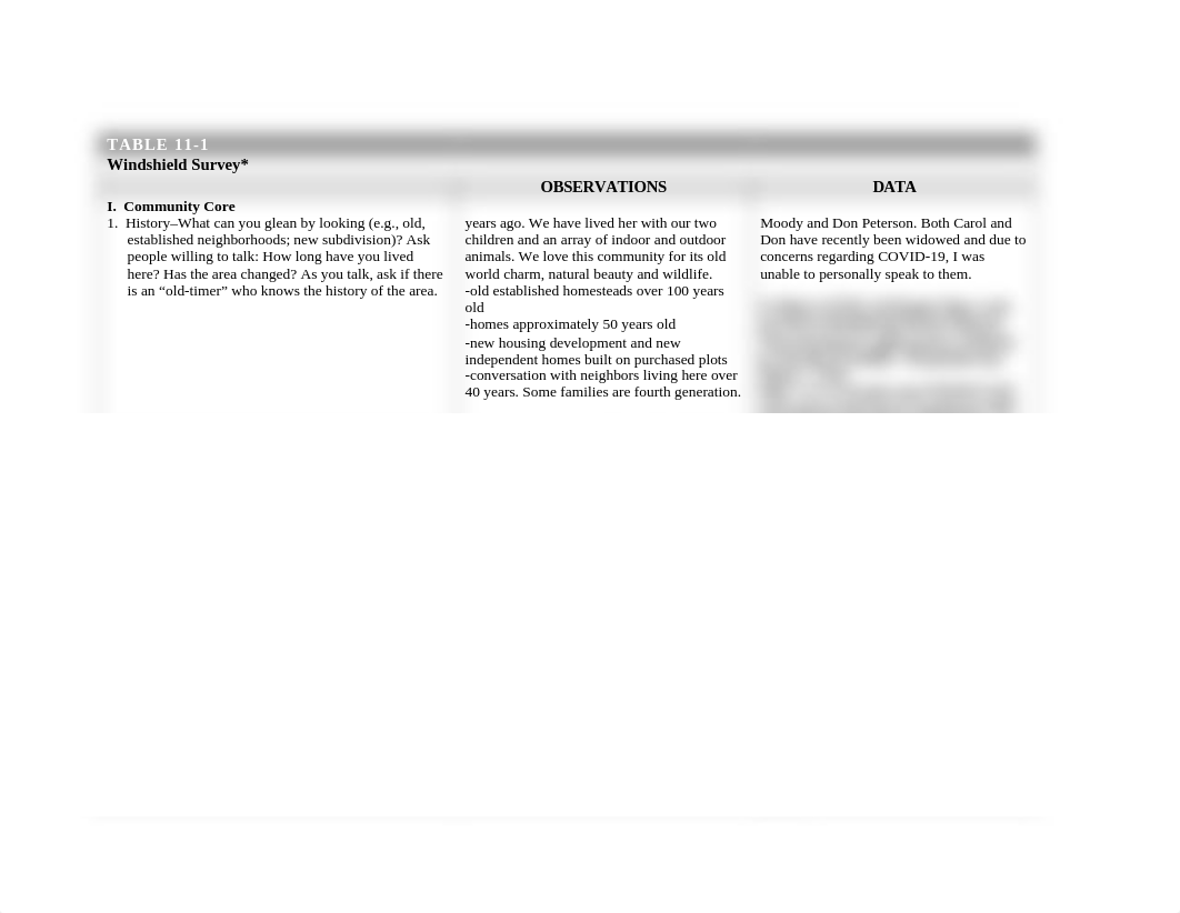 Windshield Survey Table.Scandia.doc_d9npanm77c6_page1